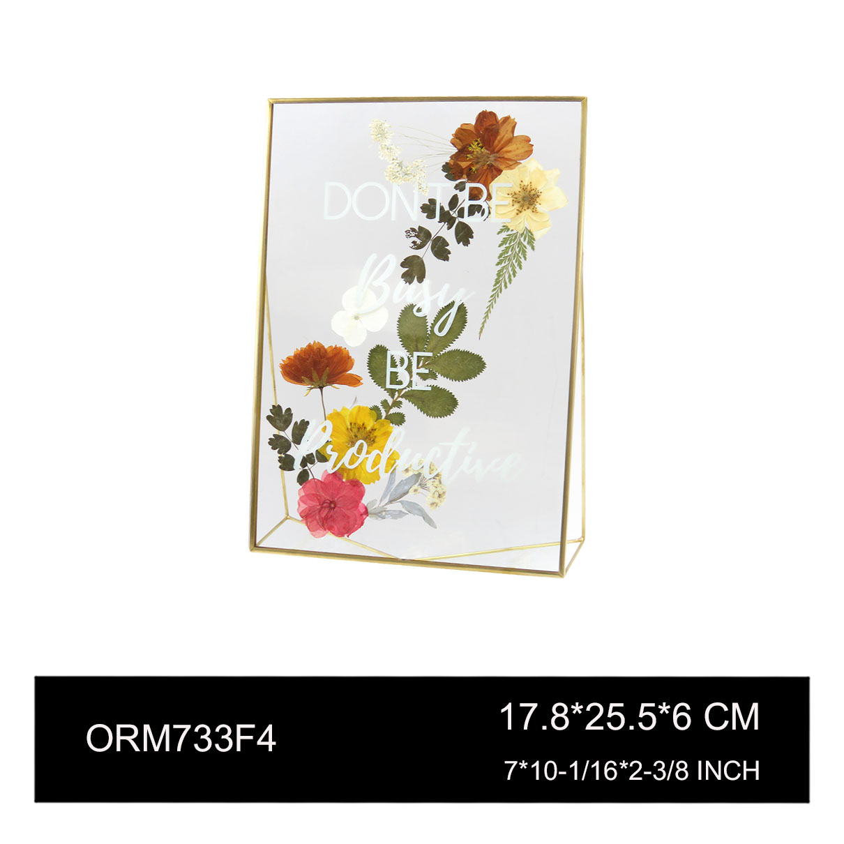 ORM733F4